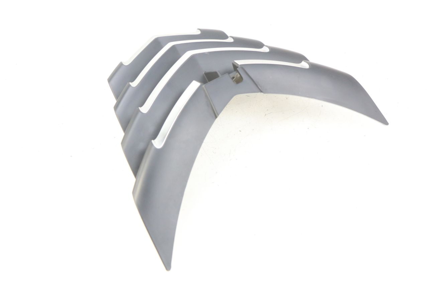 photo de RADIATOR GRILLE PEUGEOT CITYSTAR 125 (2011 - 2017) - Zoom on usage condition