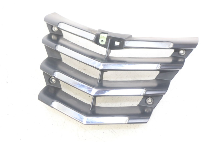 photo de RADIATOR GRILLE PEUGEOT CITYSTAR 125 (2011 - 2017) - Main view