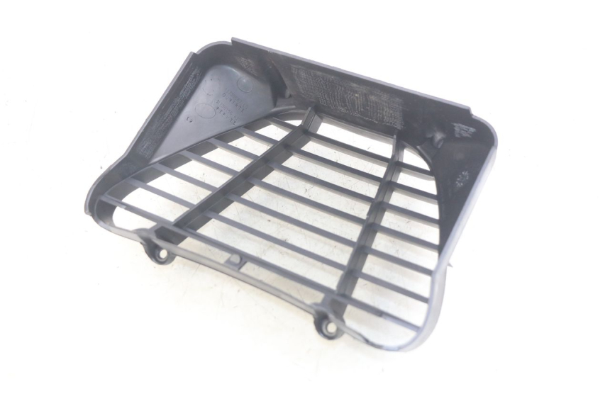 photo de RADIATOR GRILLE PEUGEOT ELYSEO 125 (1999 - 2004) - Component detail