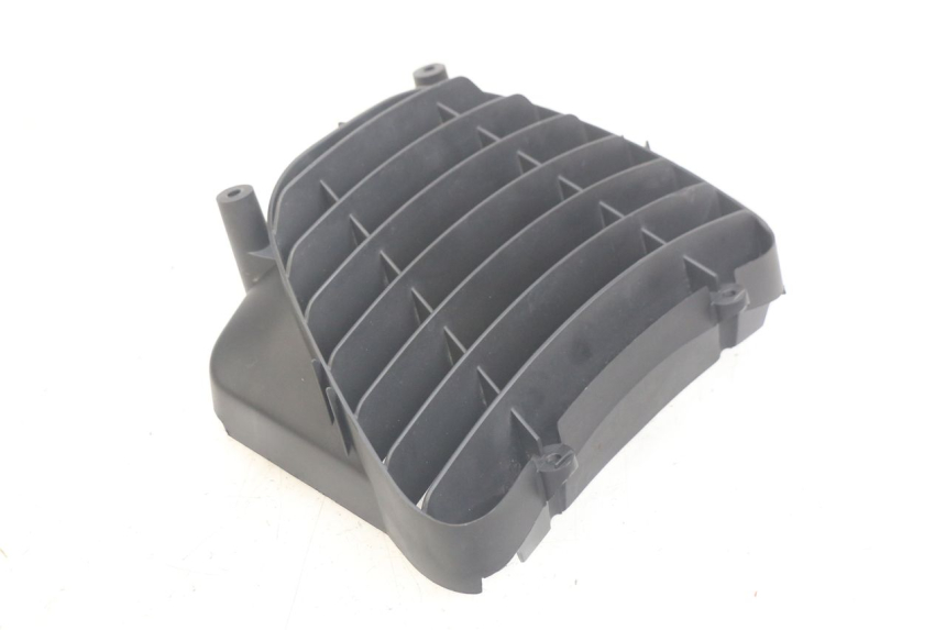 photo de RADIATOR GRILLE PEUGEOT ELYSEO 125 (1999 - 2004) - Zoom on usage condition