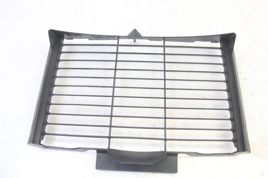 photo de RADIATOR COVER YAMAHA FZ6 N FAZER 600 (2004 - 2006) - Main view