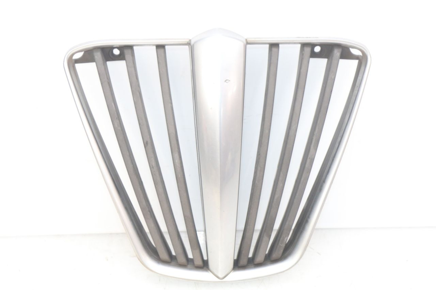 photo de RADIATOR GRILLE PIAGGIO MP3 LT 400 (2007 - 2012) - Main view