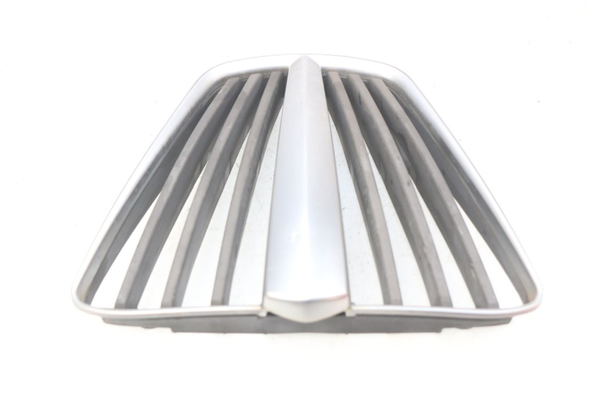photo de RADIATOR GRILLE PIAGGIO MP3 LT 400 (2007 - 2012) - Product overview