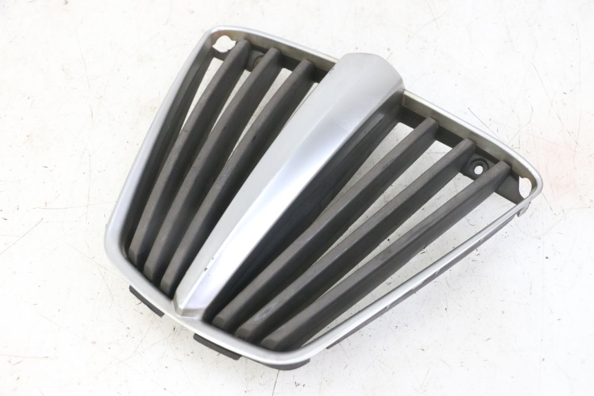 photo de RADIATOR GRILLE PIAGGIO MP3 LT 400 (2007 - 2012) - Main view