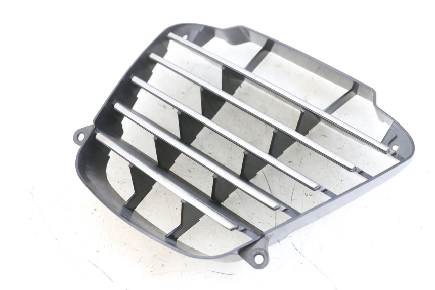 photo de RADIATOR GRILLE PIAGGIO MP3 LT 400 (2007 - 2012) - Main view