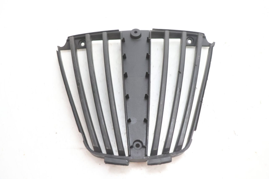 photo de RADIATOR COVER PIAGGIO MP3 LT 300 (2010 - 2016) - Main view