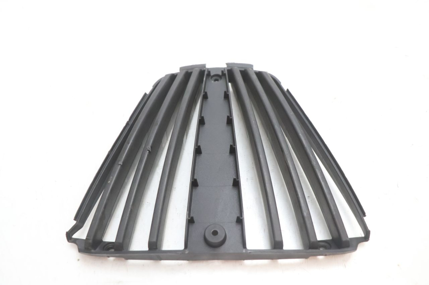 photo de RADIATOR COVER PIAGGIO MP3 LT 300 (2010 - 2016) - Component detail