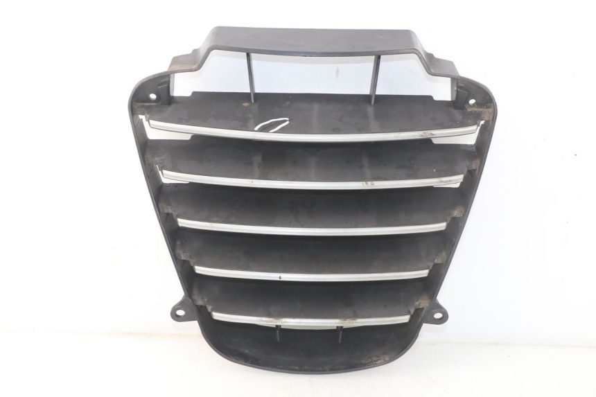 photo de RADIATOR GRILLE PIAGGIO MP3 125 (2006 - 2014) - Main view