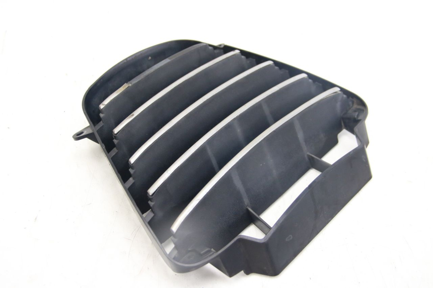photo de RADIATOR GRILLE PIAGGIO MP3 125 (2006 - 2014) - Component detail