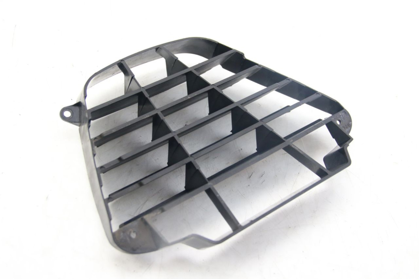 photo de RADIATOR GRILLE PIAGGIO MP3 125 (2006 - 2014) - Technical close-up