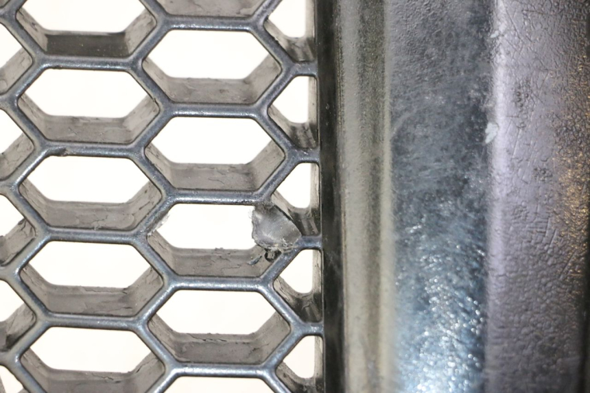 photo de RADIATOR COVER PIAGGIO MP3 500 (2011 - 2015) - Zoom on usage condition