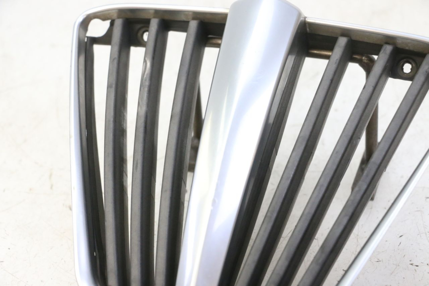 photo de RADIATOR COVER PIAGGIO MP3 RL 250 (2006 - 2010) - Component detail