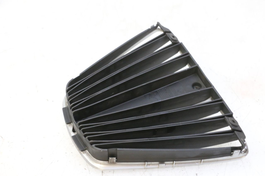 photo de RADIATOR COVER PIAGGIO MP3 RL 250 (2006 - 2010) - Technical close-up