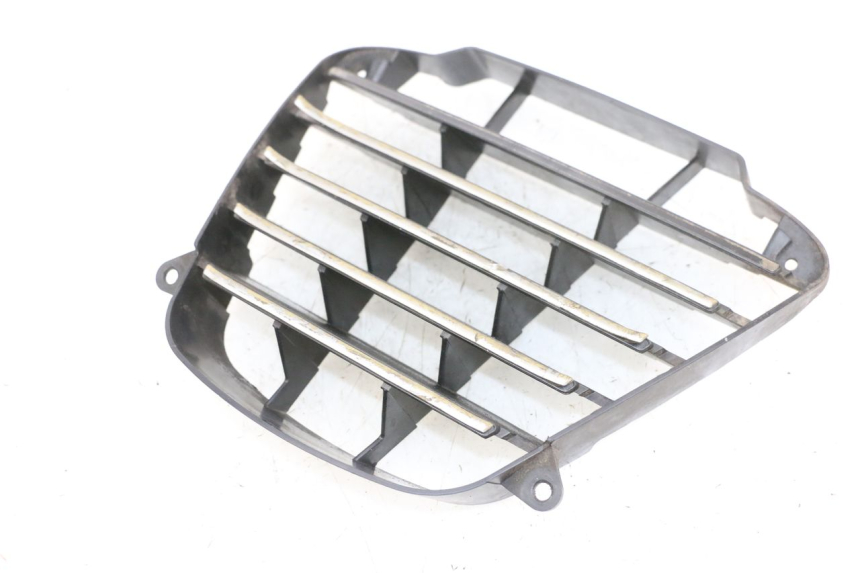 photo de RADIATOR GRILLE PIAGGIO MP3 125 (2006 - 2014) - Main view