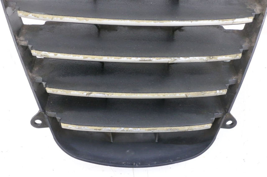 photo de RADIATOR GRILLE PIAGGIO MP3 125 (2006 - 2014) - Component detail