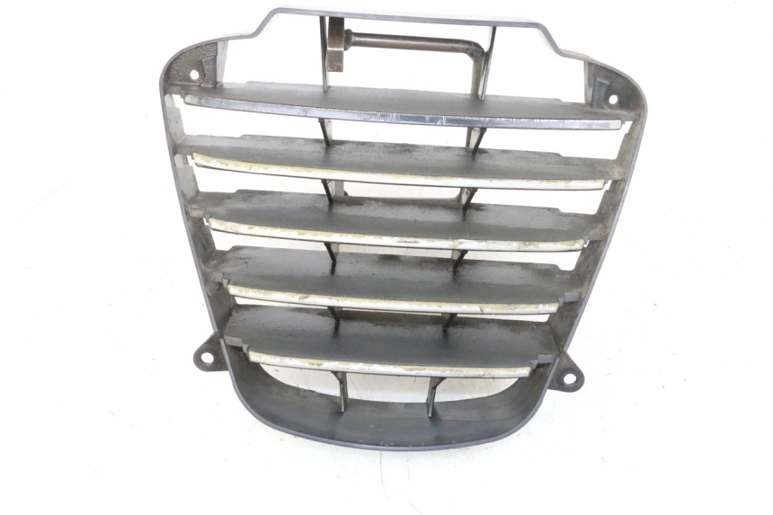 photo de RADIATOR GRILLE PIAGGIO MP3 125 (2006 - 2014) - Alternative perspective