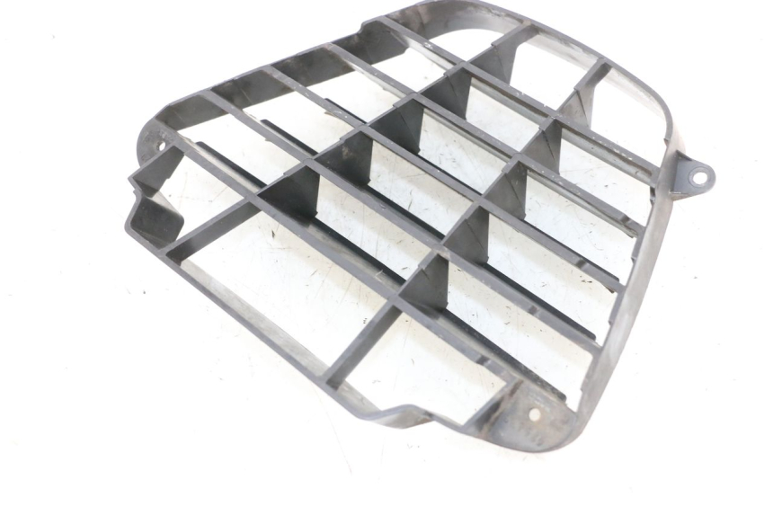 photo de RADIATOR GRILLE PIAGGIO MP3 125 (2006 - 2014) - Technical close-up