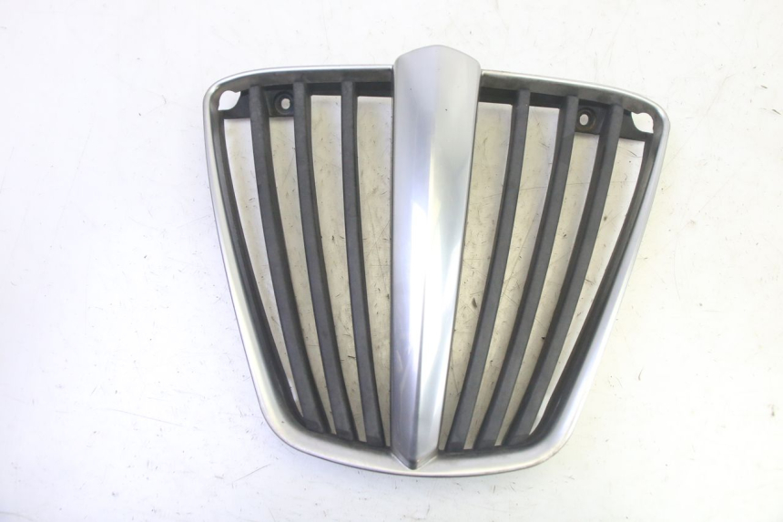 photo de RADIATOR COVER PIAGGIO MP3 RL 250 (2006 - 2010) - Main view