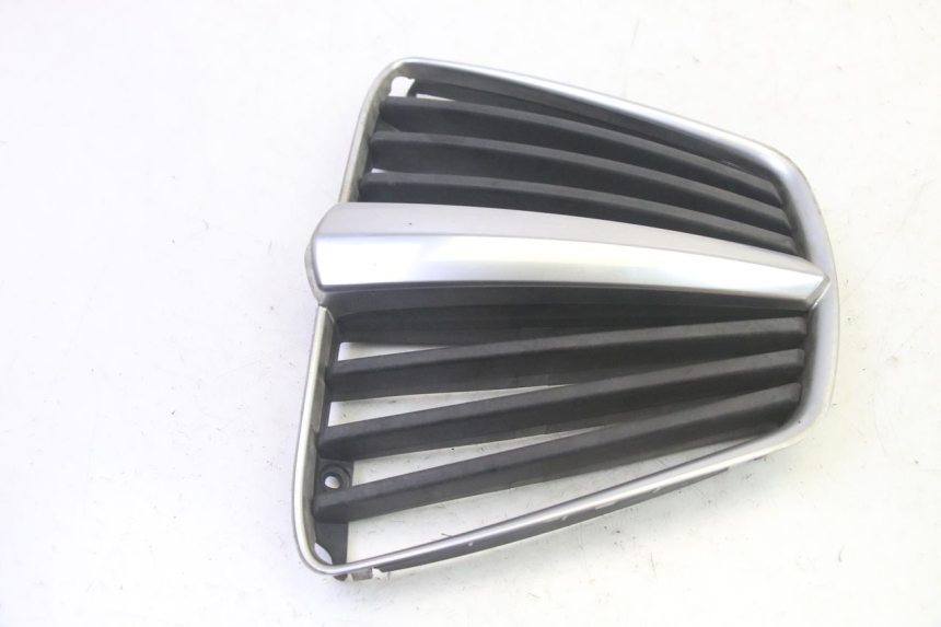 photo de RADIATOR COVER PIAGGIO MP3 RL 250 (2006 - 2010) - Component detail
