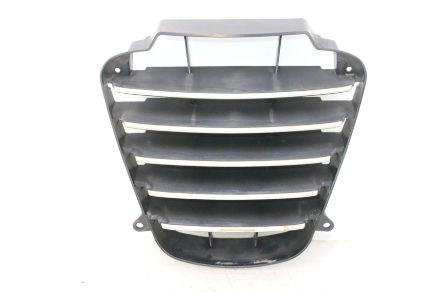 photo de RADIATOR GRILLE PIAGGIO MP3 125 (2006 - 2014) - Main view