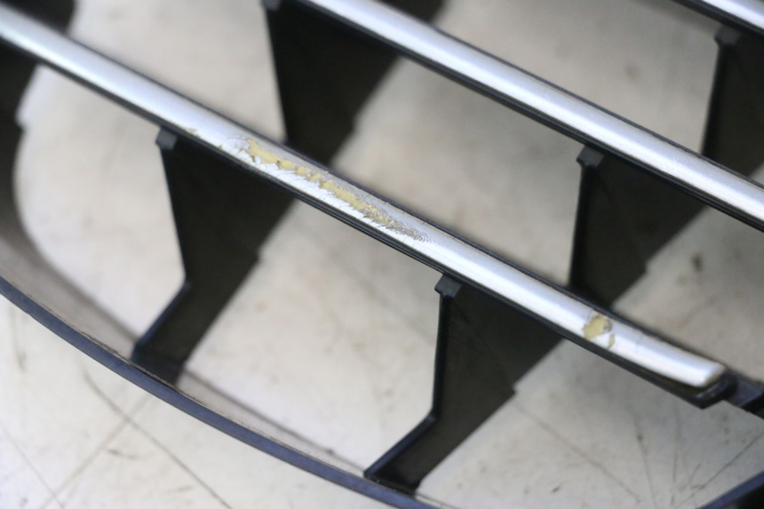 photo de RADIATOR GRILLE PIAGGIO MP3 125 (2006 - 2014) - Component detail