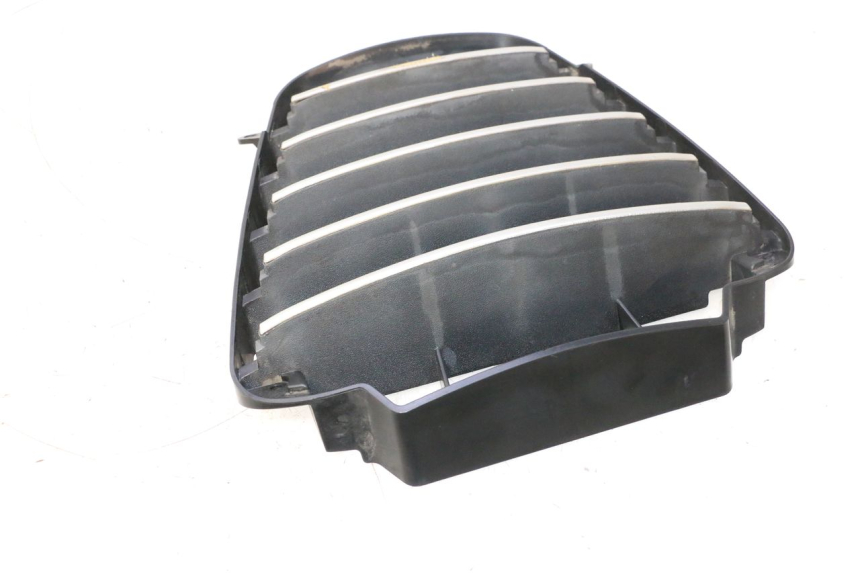 photo de RADIATOR GRILLE PIAGGIO MP3 125 (2006 - 2014) - Product overview