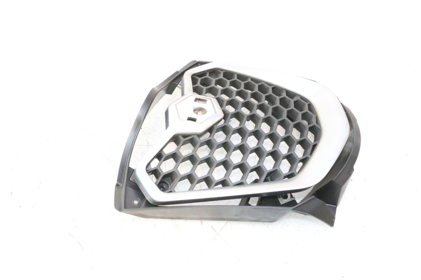 photo de RADIATOR COVER PIAGGIO MP3 500 (2016 - 2018) - Alternative perspective