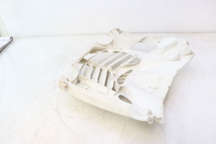 photo de RADIATOR COVER MBK NITRO 50 (2004 - 2008) - Alternative perspective