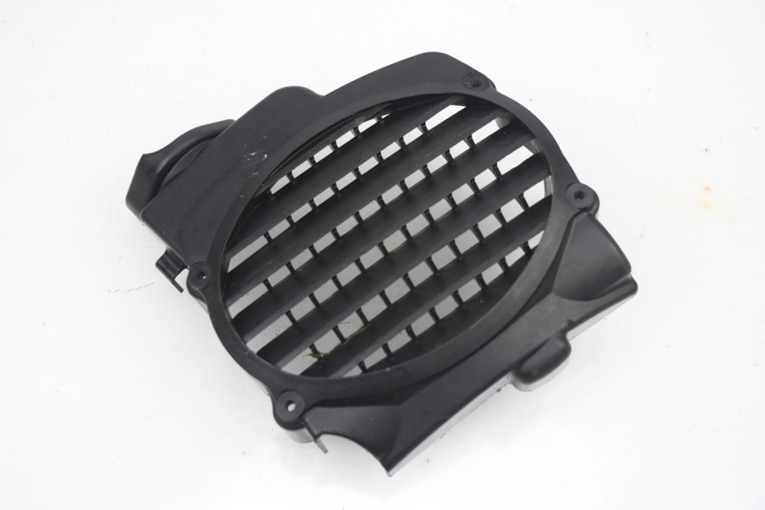 photo de RADIATOR COVER HONDA NPS ZOOMER 50 (2004 - 2013) - Main view