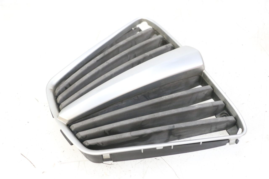 photo de RADIATOR GRILLE PIAGGIO MP3 LT 400 (2007 - 2012) - Main view