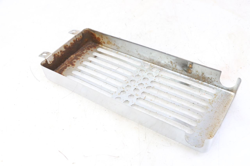 photo de RADIATOR COVER REGAL RAPTOR RAXTER 2 125 (2007 - 2015) - Component detail