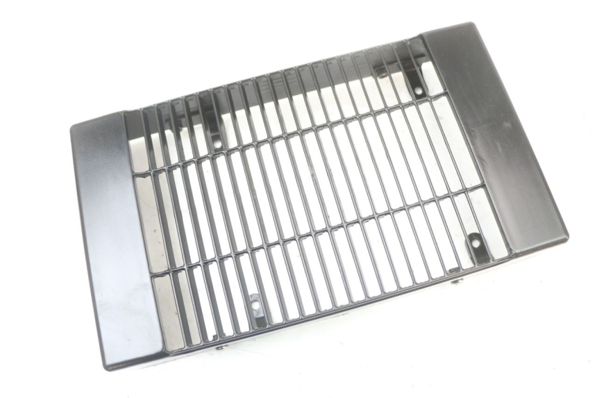 photo de RADIATOR COVER REGAL RAPTOR SPYDER 125 (2010 - 2018) - Zoom on usage condition