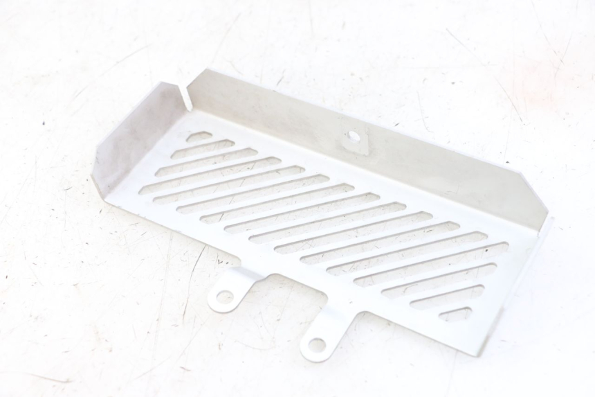 photo de RADIATOR COVER ROYAL ENFIELD HYMALAYAN 410 (2016 - 2023) - Component detail