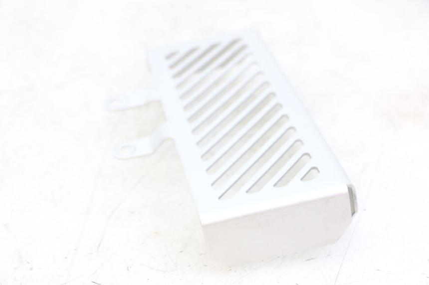 photo de RADIATOR COVER ROYAL ENFIELD HYMALAYAN 410 (2016 - 2023) - Alternative perspective