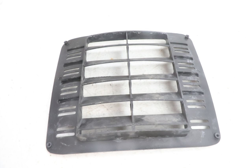 photo de RADIATOR COVER APRILIA SCARABEO GT 125 (1999 - 2007) - Zoom on usage condition
