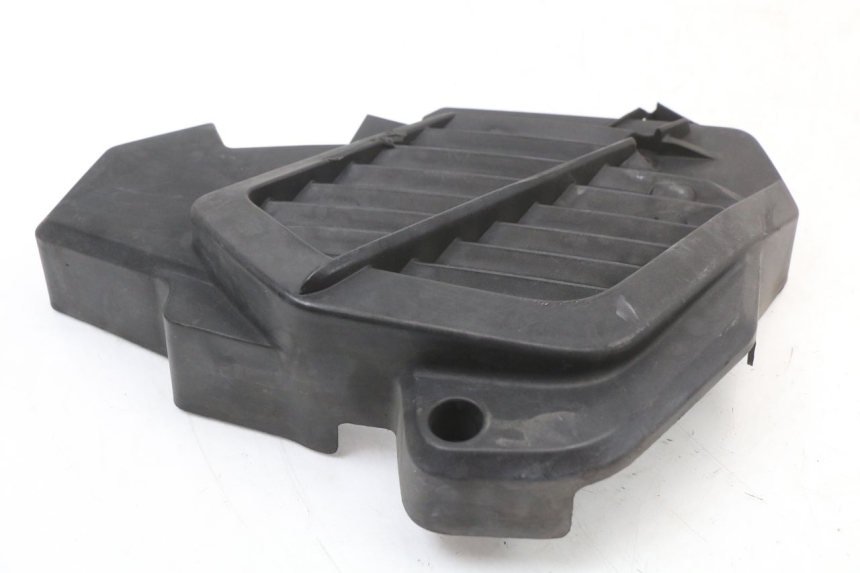 photo de RADIATOR COVER HONDA SH ABS 125 (2012 - 2017) - Zoom on usage condition