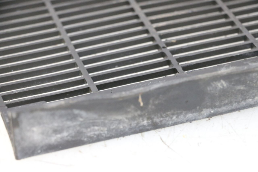 photo de RADIATOR COVER TRIUMPH SPRINT 900 (1995 - 1998) - Zoom on usage condition