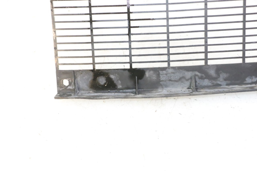 photo de RADIATOR COVER TRIUMPH SPRINT 900 (1995 - 1998) - Alternative perspective