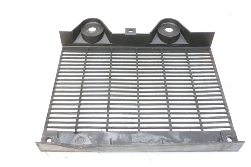 photo de RADIATOR COVER TRIUMPH SPRINT 900 (1995 - 1998) - Product overview