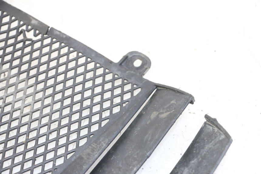 photo de RADIATOR COVER KTM SUPERENDURO R 950 (2005 - 2009) - Component detail