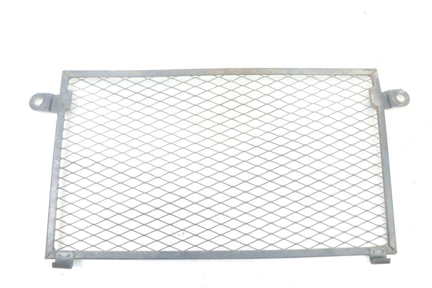 photo de RADIATOR GRILLE YAMAHA TDM ABS 900 (2002 - 2014) - Main view