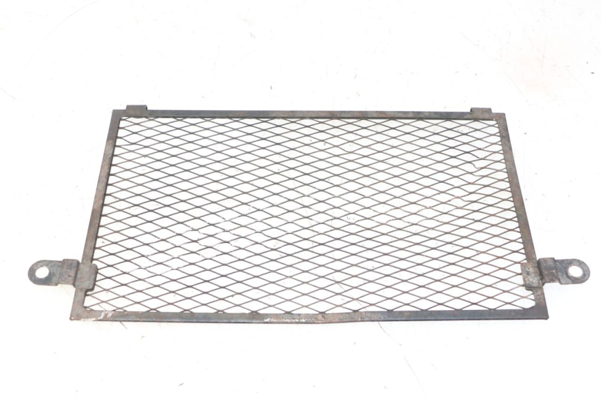 photo de RADIATOR GRILLE YAMAHA TDM ABS 900 (2002 - 2014) - Main view
