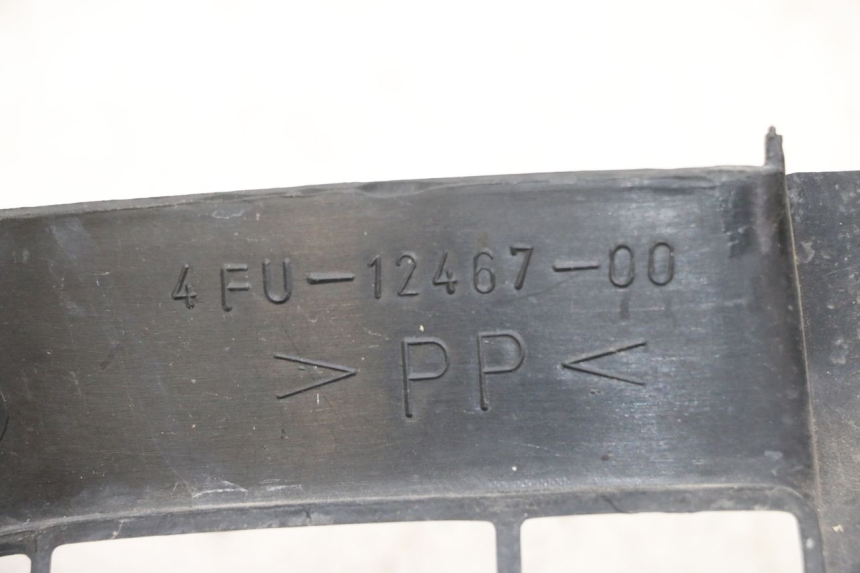 photo de RADIATOR COVER YAMAHA TDR DELTABOX 125 (1997 - 2003) - Zoom on usage condition