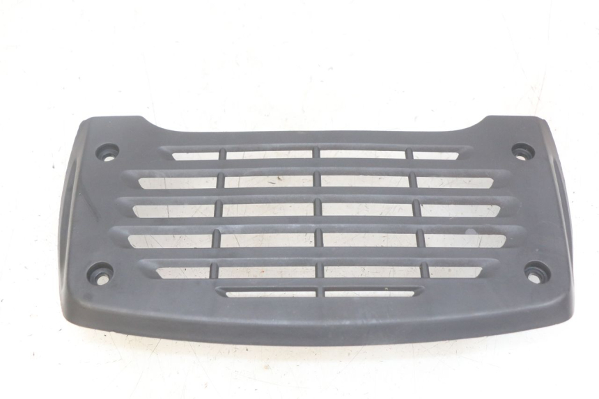 photo de RADIATOR GRILLE DAELIM VJ ROADWIN FI 125 (2008 - 2017) - Main view