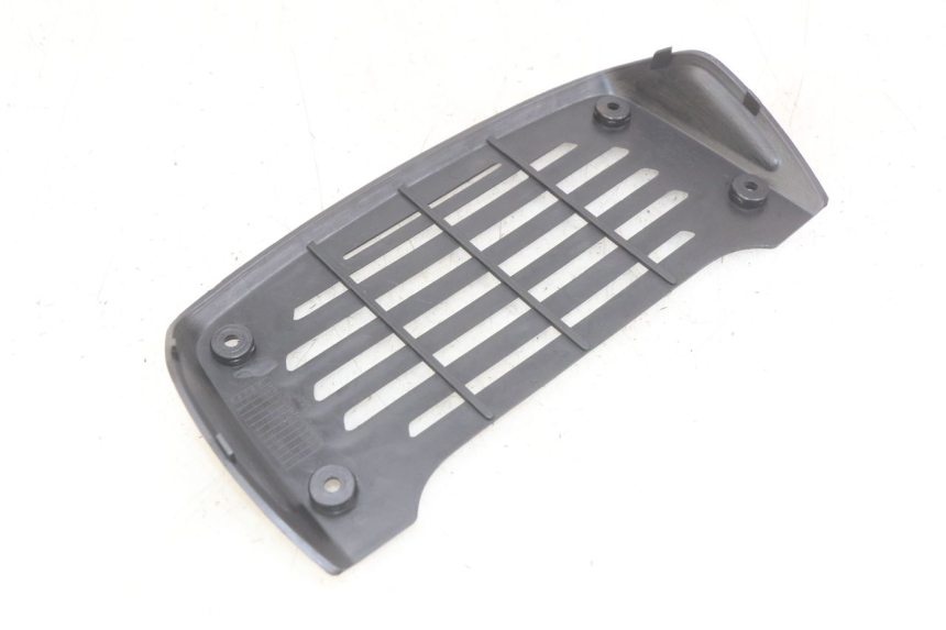 photo de RADIATOR GRILLE DAELIM VJ ROADWIN FI 125 (2008 - 2017) - Component detail