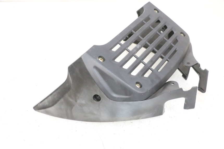 photo de RADIATOR GRILLE DAELIM VJ ROADWIN FI 125 (2008 - 2017) - Main view