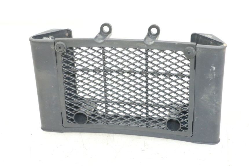 photo de RADIATOR GRILLE DAELIM VL DAYSTAR 125 (2000 - 2011) - Main view