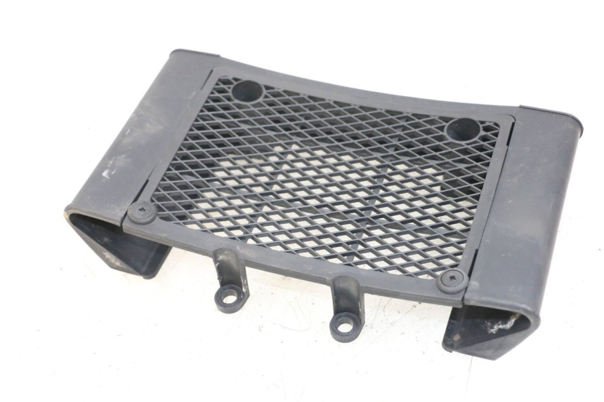 photo de RADIATOR GRILLE DAELIM VL DAYSTAR 125 (2000 - 2011) - Alternative perspective