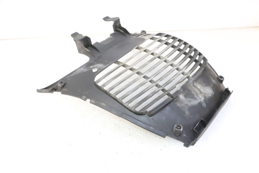 photo de RADIATOR COVER YAMAHA X-CITY XCITY 125 (2007 - 2013) - Alternative perspective