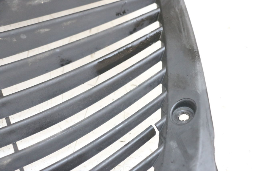 photo de RADIATOR GRILLE YAMAHA X-MAX XMAX 250 (2006 - 2009) - Component detail